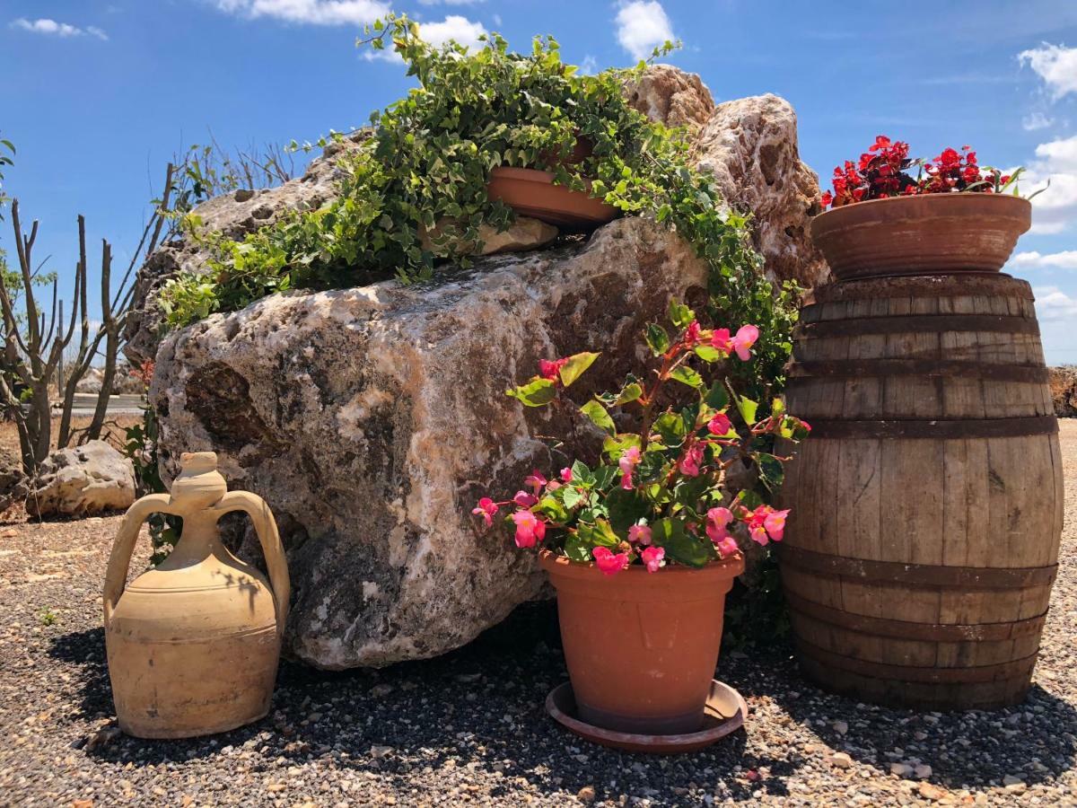 Masseria Paglieroni Martina Franca Zewnętrze zdjęcie